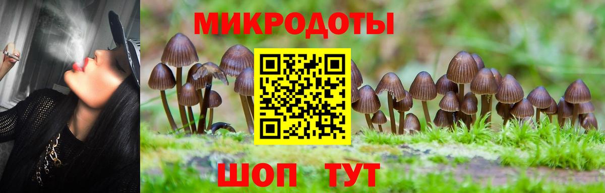 что такое наркотик  Вход с VPN  Карачаевск  Галлюциногенные грибы Psilocybe 