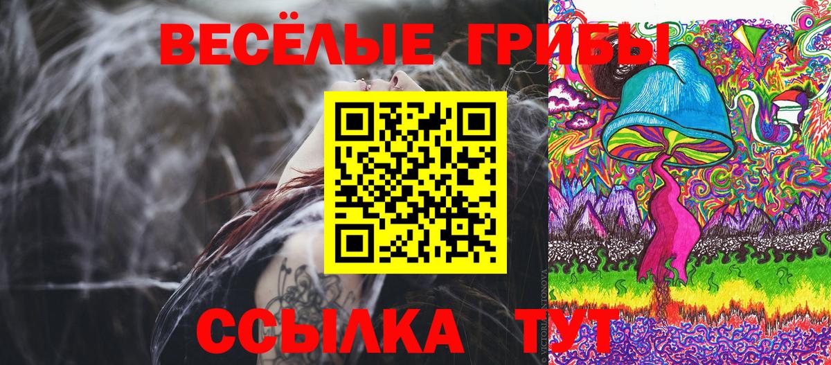 Псилоцибиновые грибы GOLDEN TEACHER Карачаевск